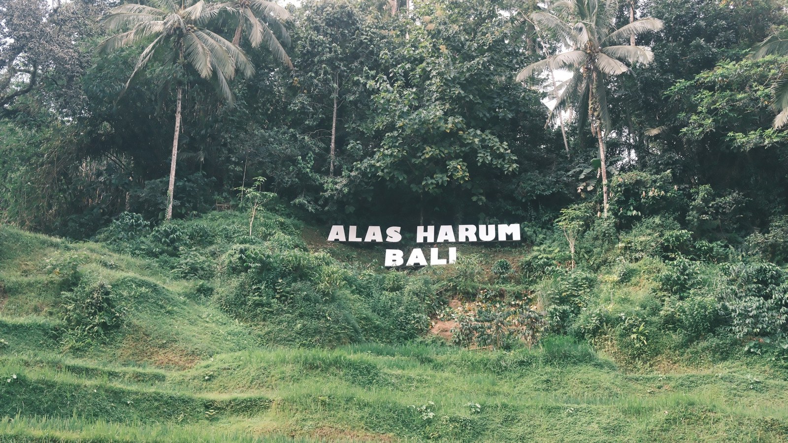 第三次 · 乌布行程，Alas Harum园区招牌
